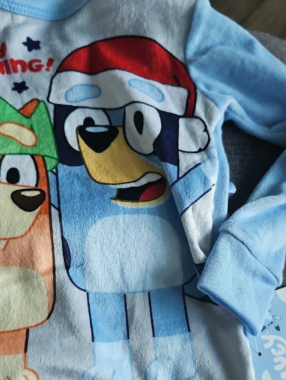 NWT BLUEY Holiday Christmas 'Merry Everything' Pajama Set 2t Boy Girl Toddler
